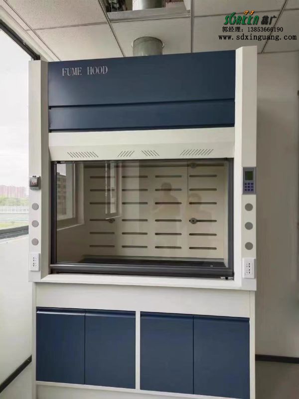 山東通風柜廠家全鋼通風柜實驗室通風櫥柜供應